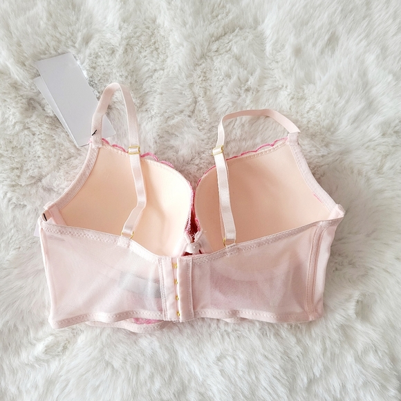 🩷DAISY FUENTES BRAND NEW HEART EMBROIDERED BRA SIZE 34C - Picture 4 of 5